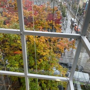 Meet your Posher, Minsun